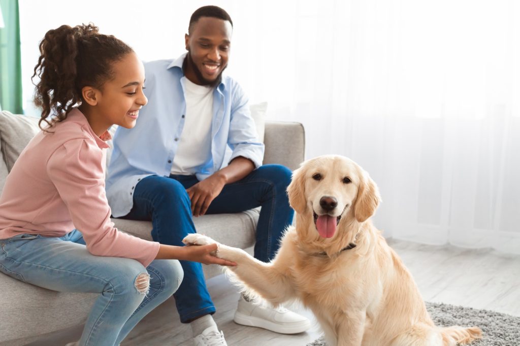 Smiling black girl playing with pet in the living room